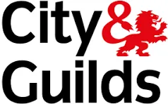 City & Guilds Certified Electricians